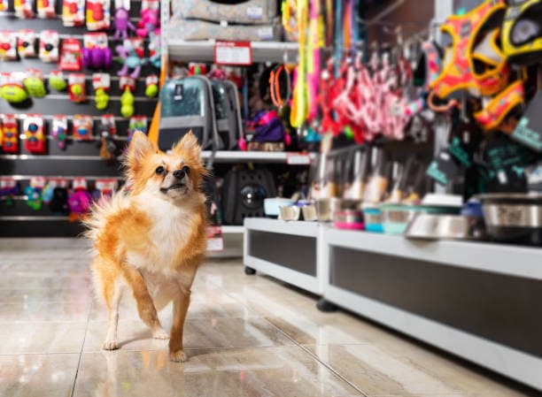 Veterinaria, PET Shop y Peluquería en Venta
