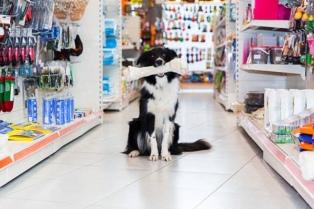 Veterinaria en Venta