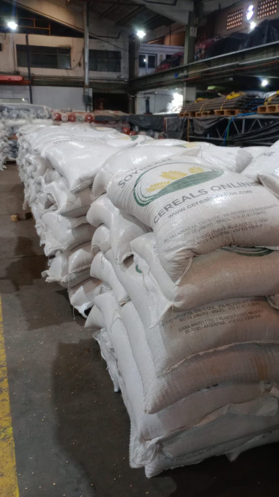 Empresa exportadora de commodities | Participación del 1% al 5%